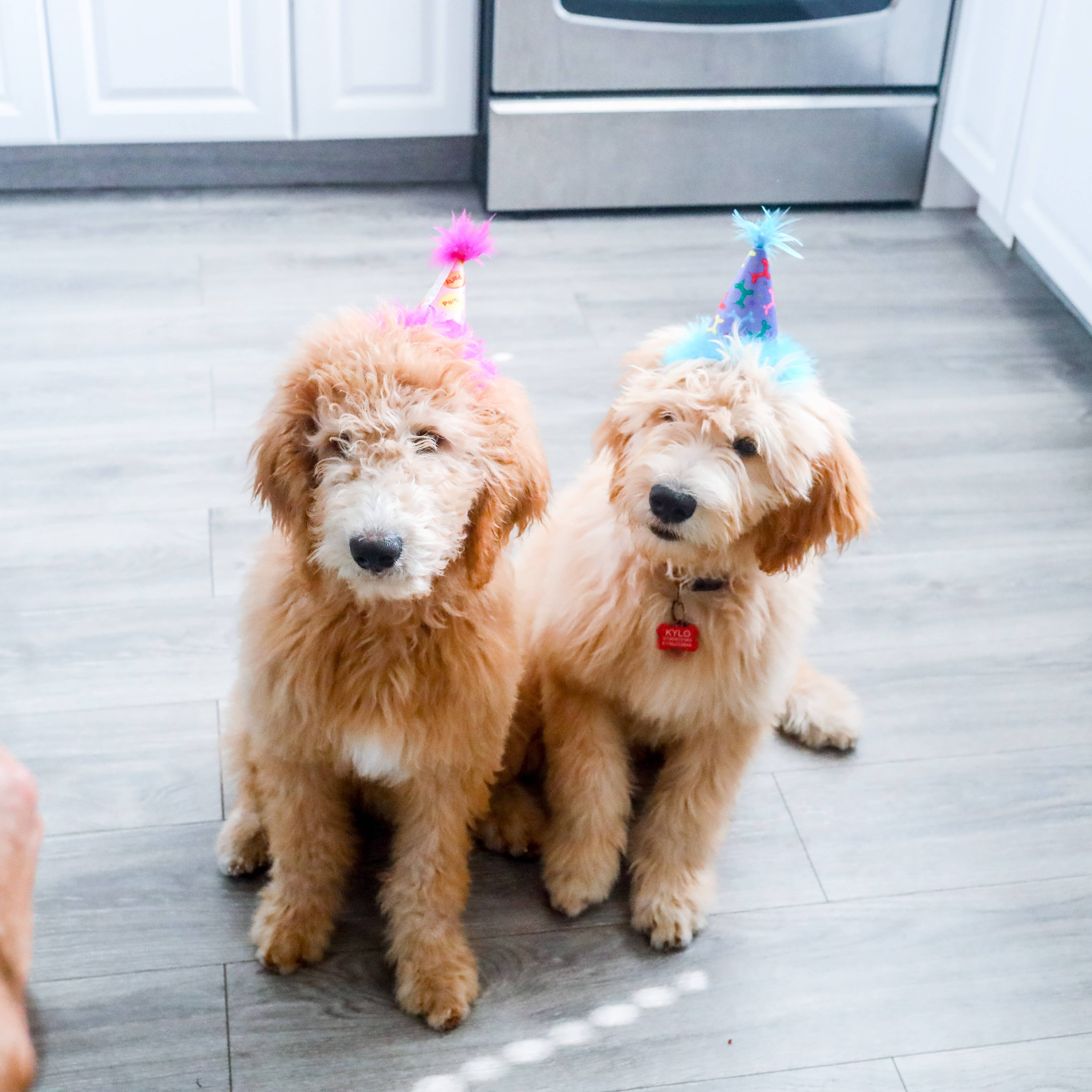 H&K Party Hat - Party Time Pink with SnugFit® - Gabrielle's Biloxi