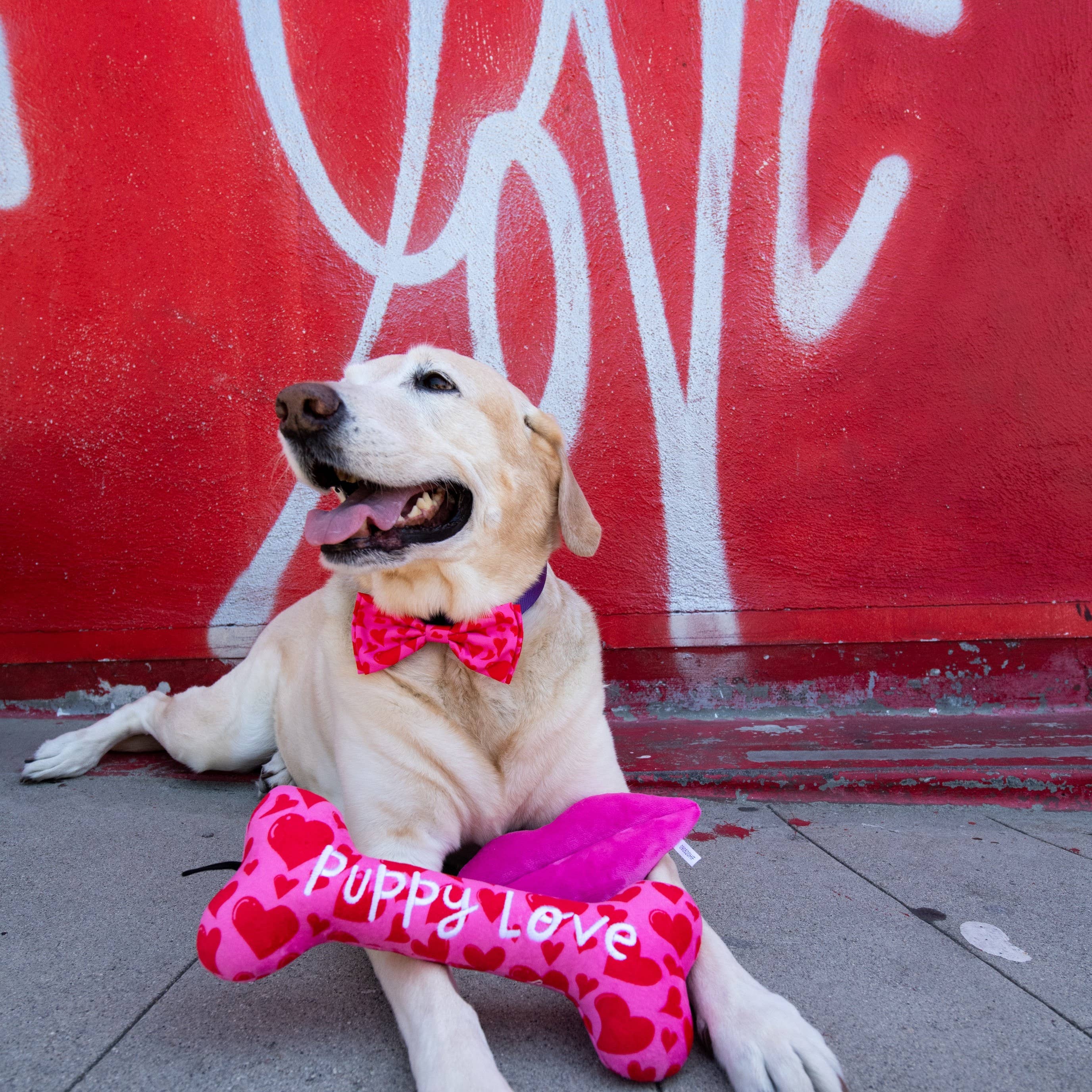 My Puppy Love Bone For Dogs - Gabrielle's Biloxi
