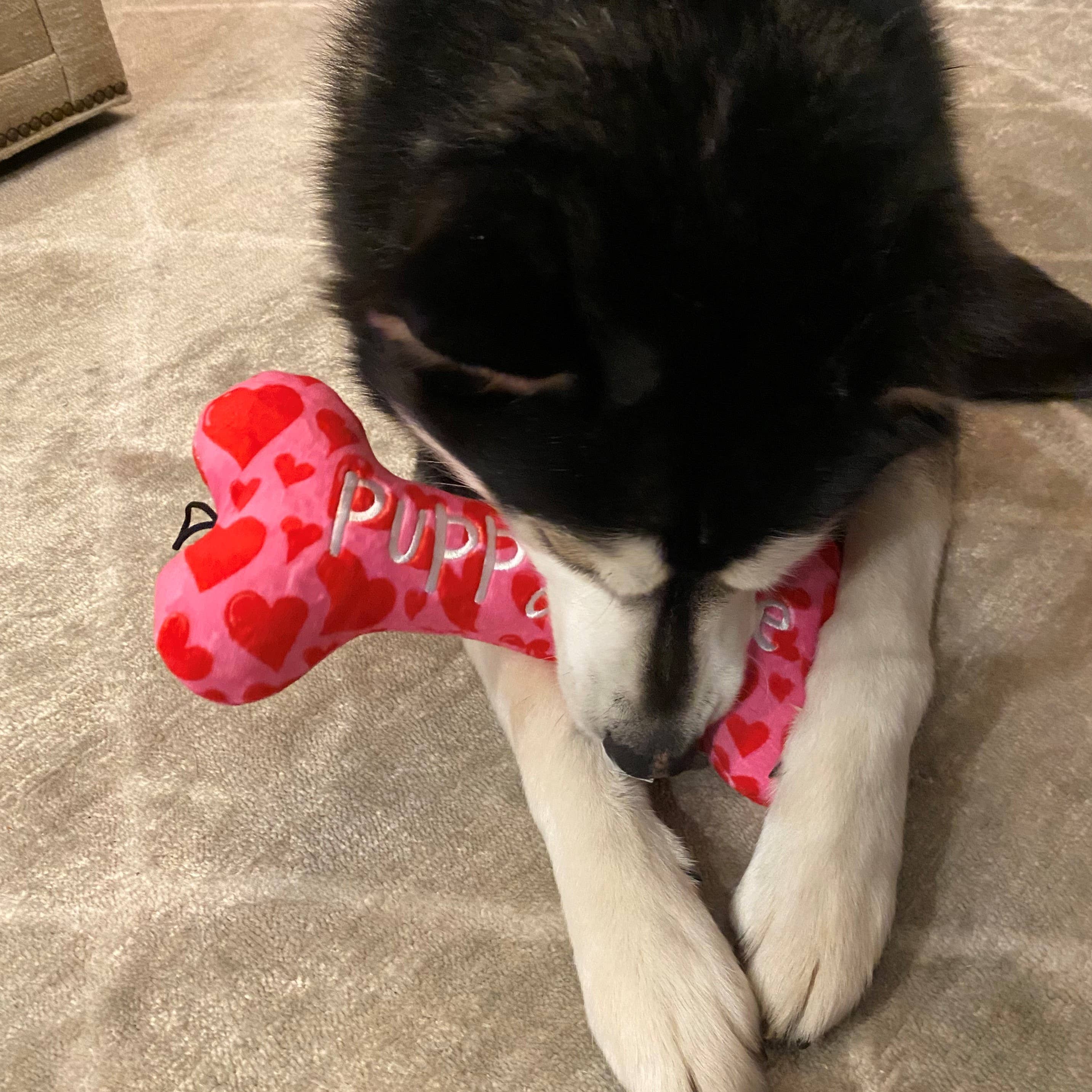My Puppy Love Bone For Dogs - Gabrielle's Biloxi