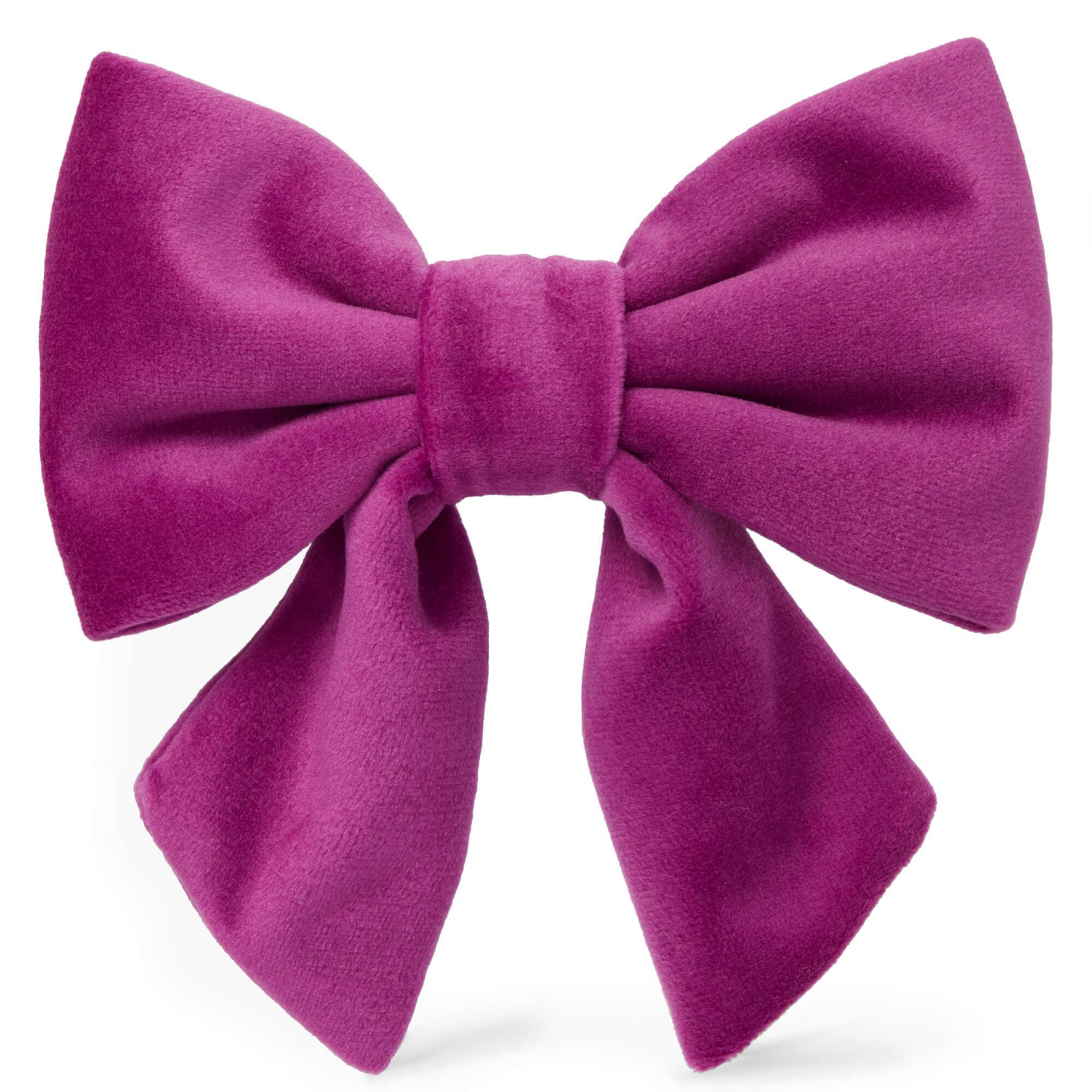 Plum Velvet Lady Dog Bow - Gabrielle's Biloxi