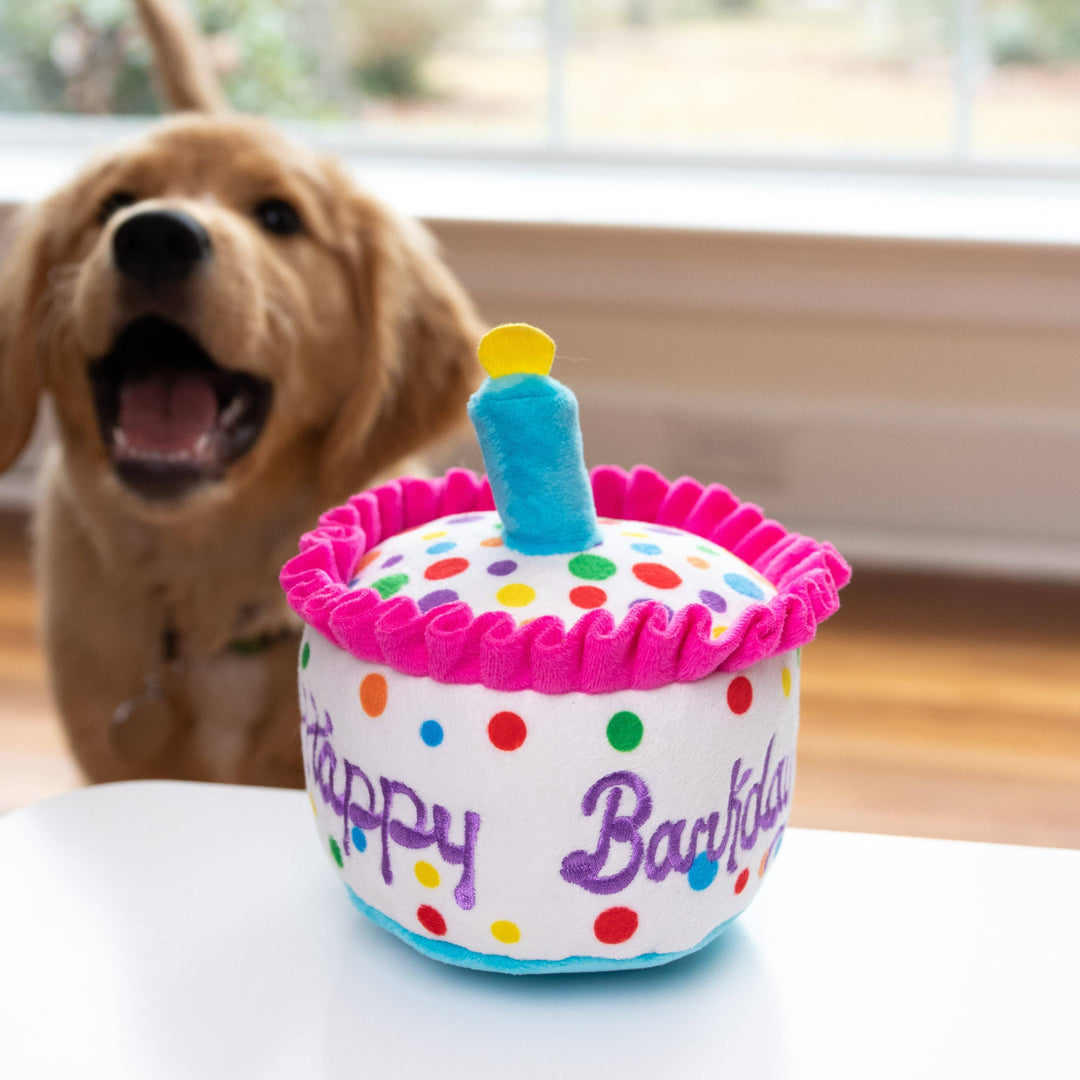 Happy Barkday Cake For Dogs - Gabrielle's Biloxi