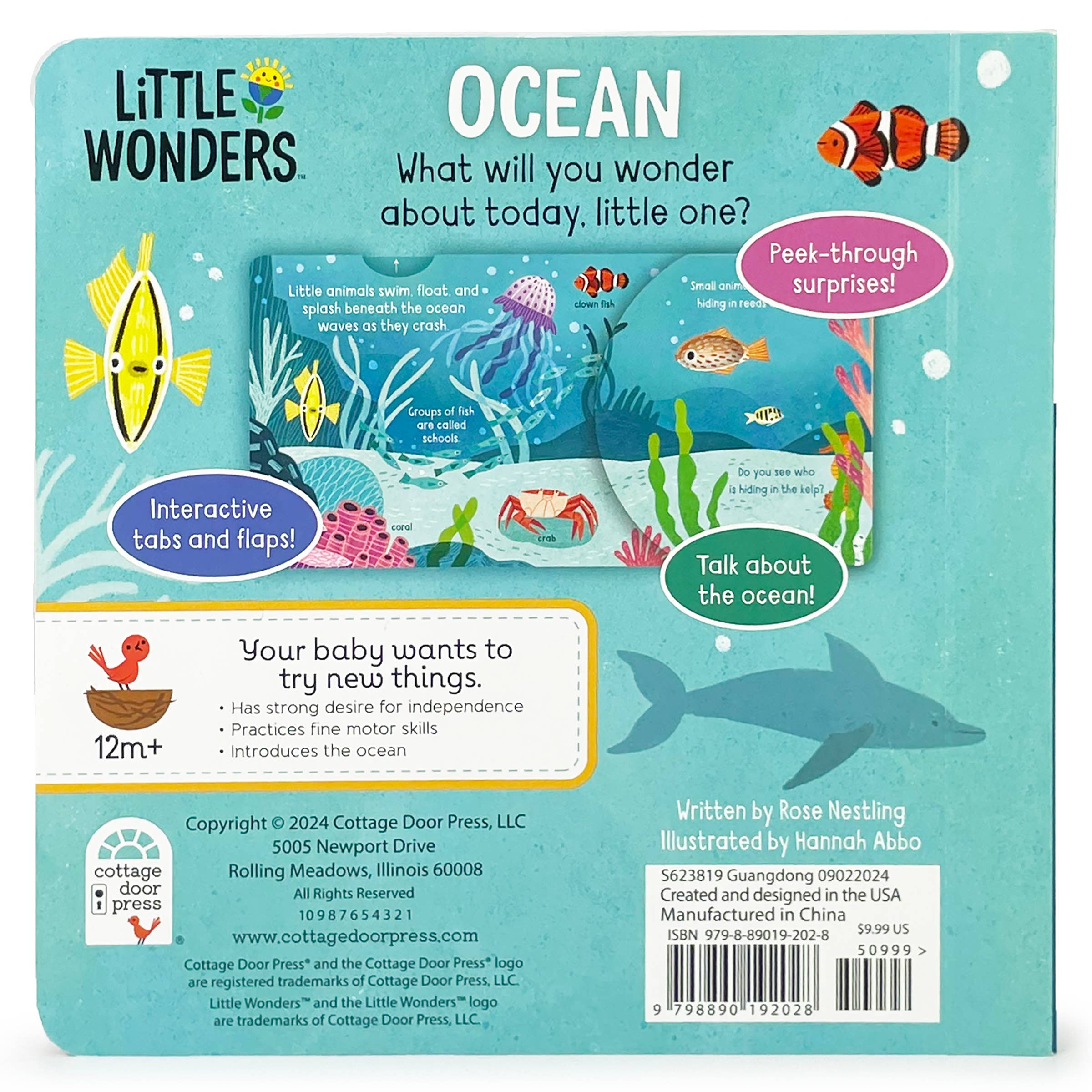 Little Wonders: Ocean Interactive Board Book - Gabrielle's Biloxi