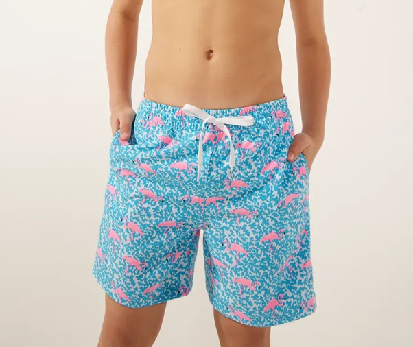 Flamingo Pink Chubbies Swim Trunks Chubbies Swim Chubbies The