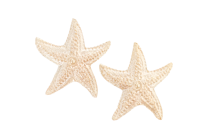 The Aerial Luxe Starfish Stud - Gabrielle's Biloxi