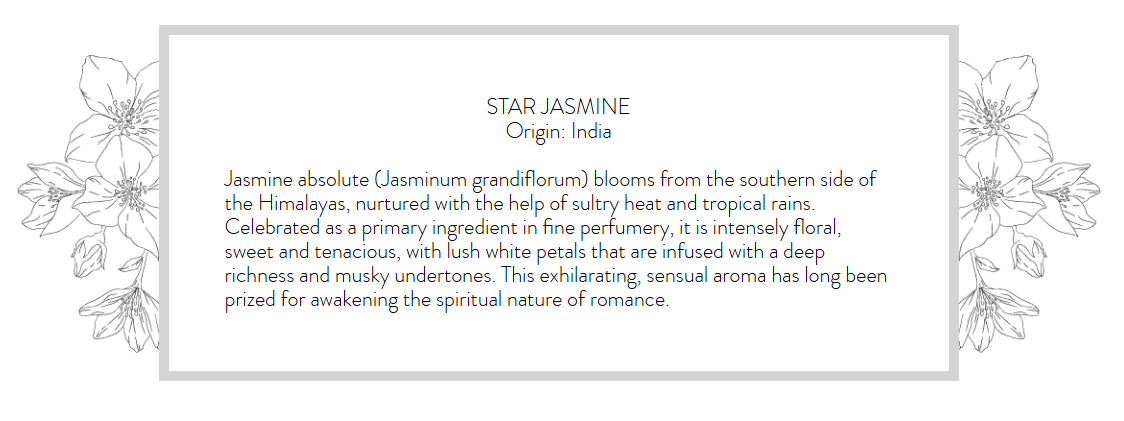 Lafco Star Jasmine Absolute Candle - Gabrielle's Biloxi