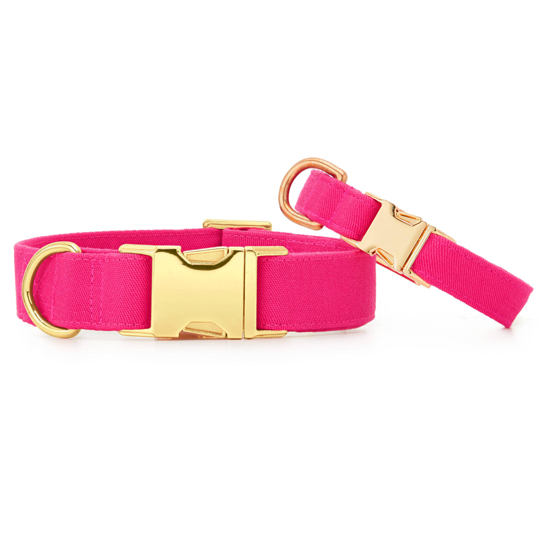 Hot Pink Dog Collar - Gabrielle's Biloxi