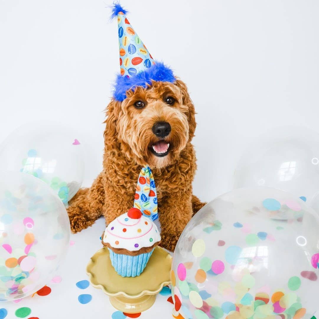 H&K Party Hat - Party Time Blue with SnugFit® - Gabrielle's Biloxi