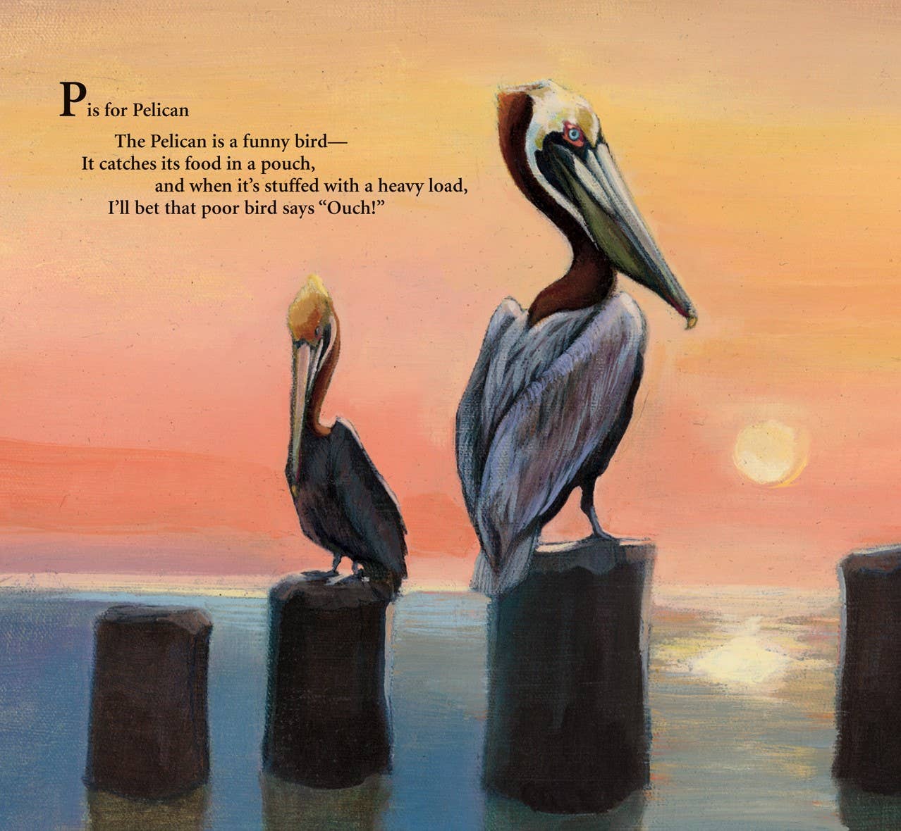 P is for Pelican: A Lousiana Alphabet - Gabrielle's Biloxi
