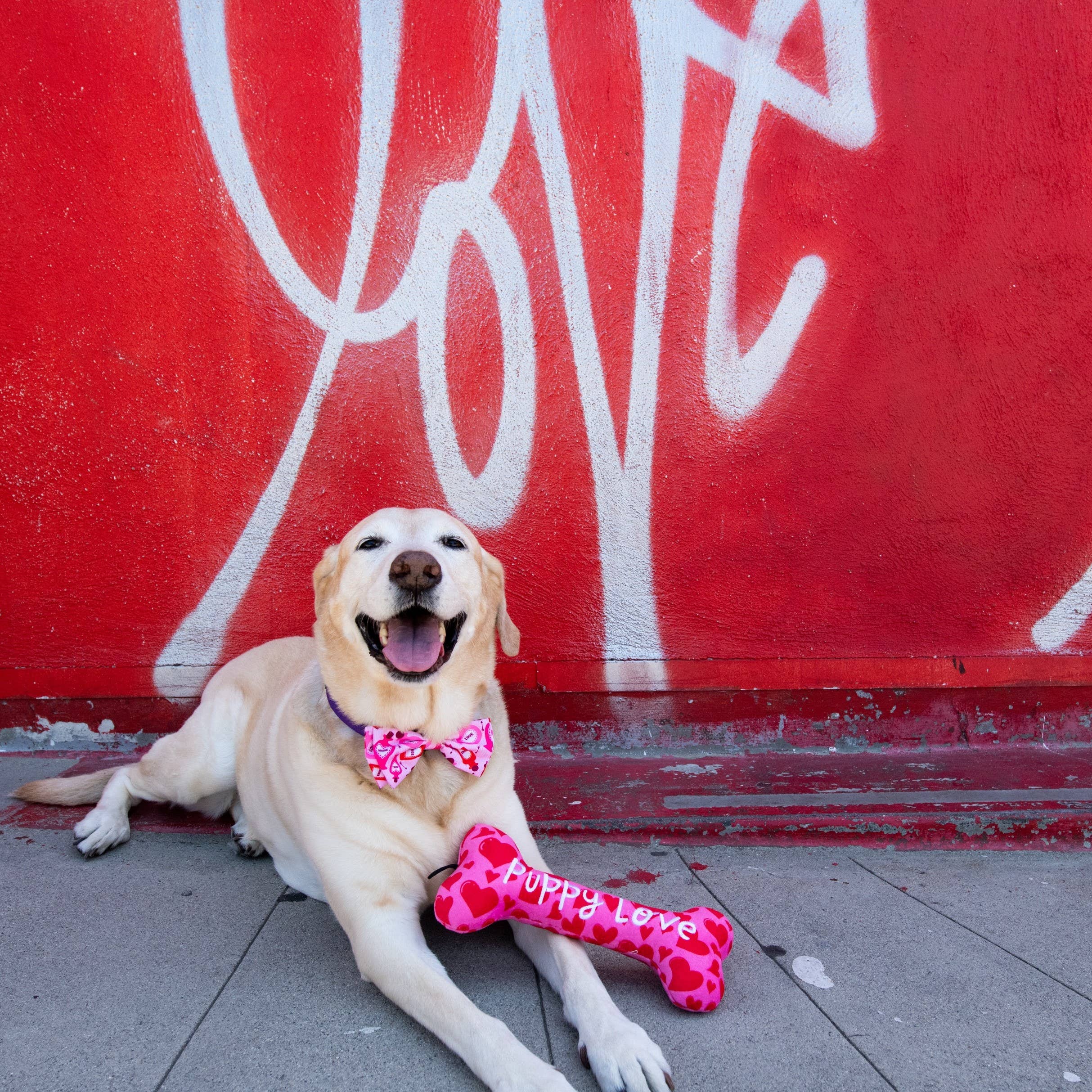 My Puppy Love Bone For Dogs - Gabrielle's Biloxi