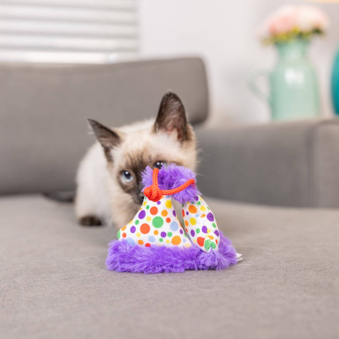 Party Hats for Cats - Gabrielle's Biloxi
