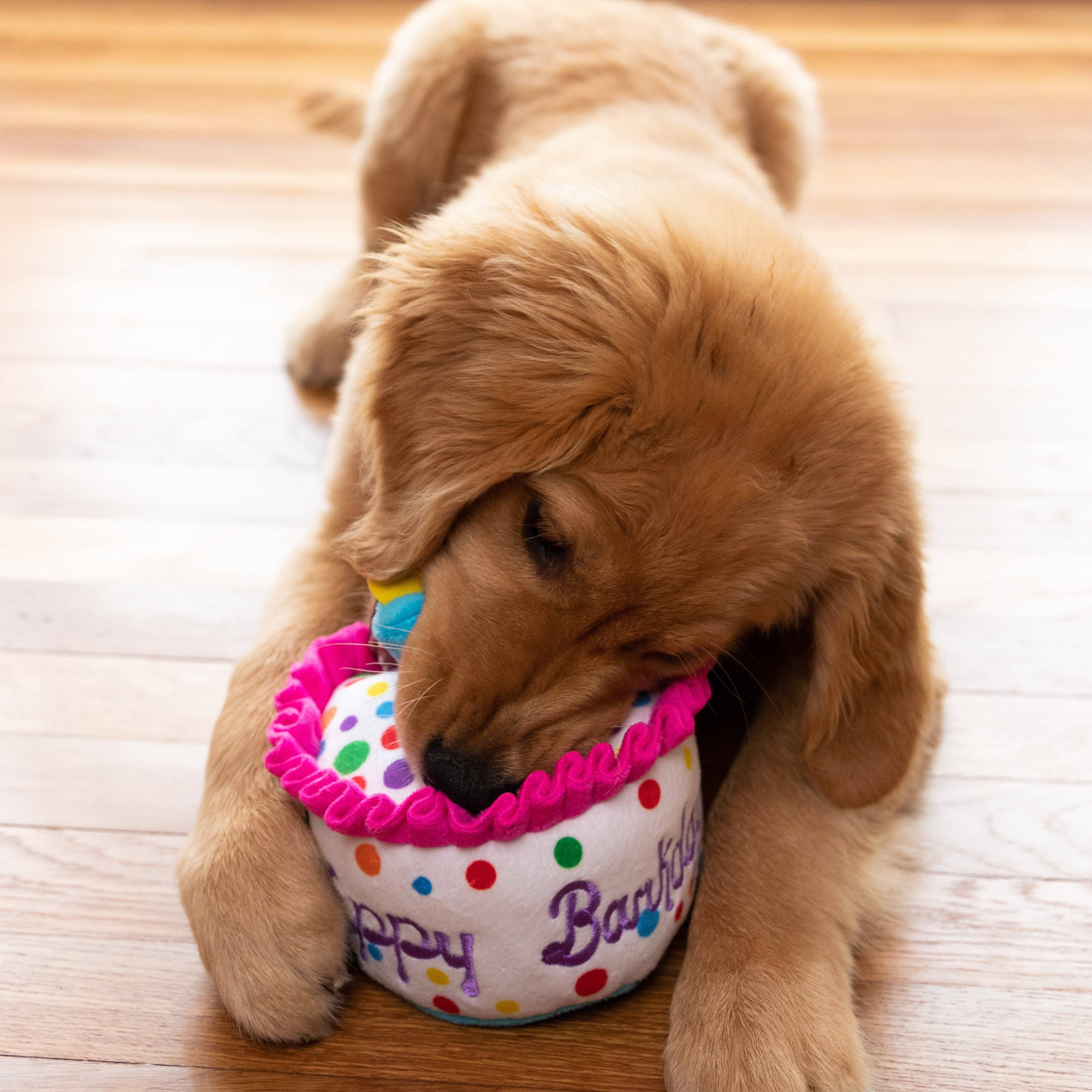 Happy Barkday Cake For Dogs - Gabrielle's Biloxi
