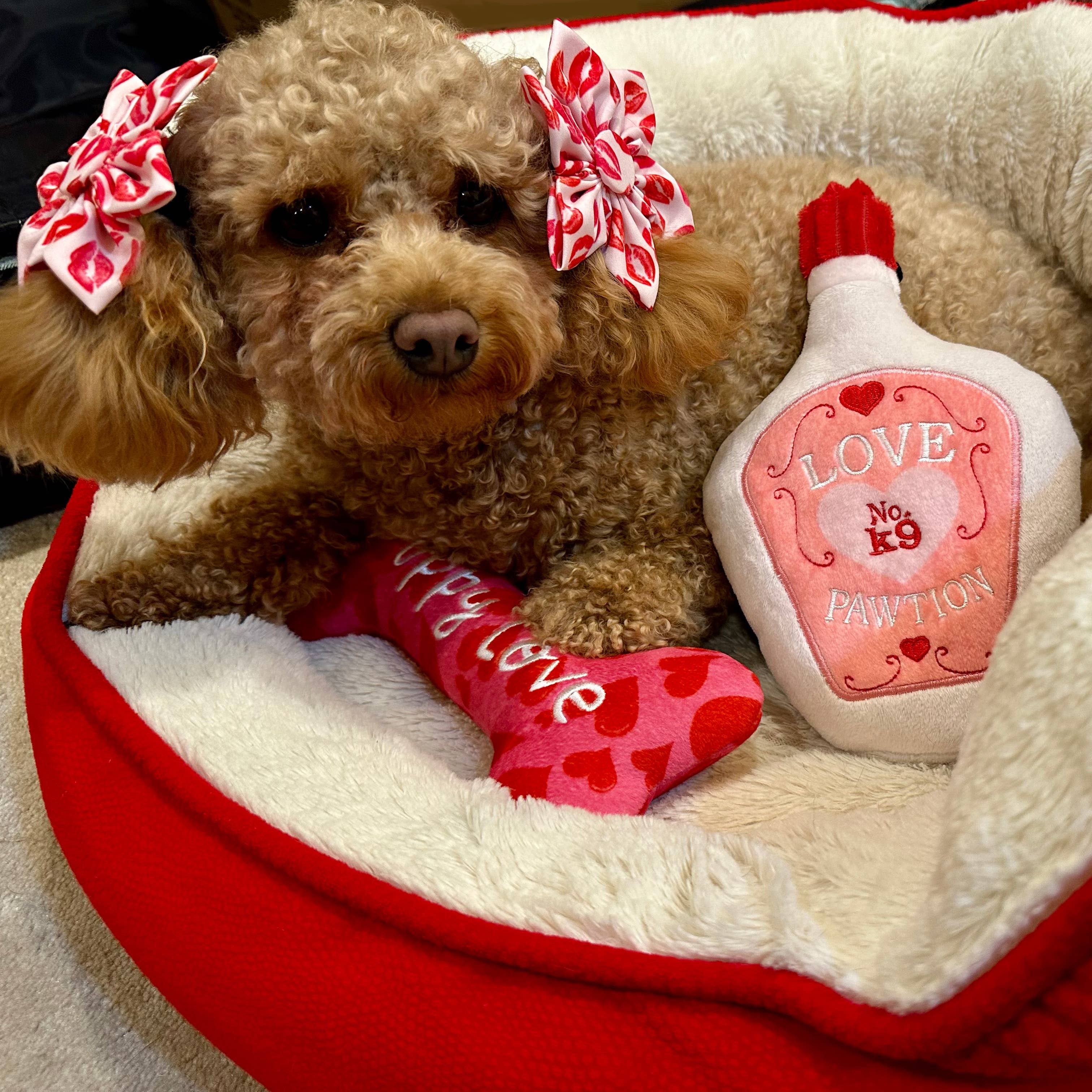My Puppy Love Bone For Dogs - Gabrielle's Biloxi
