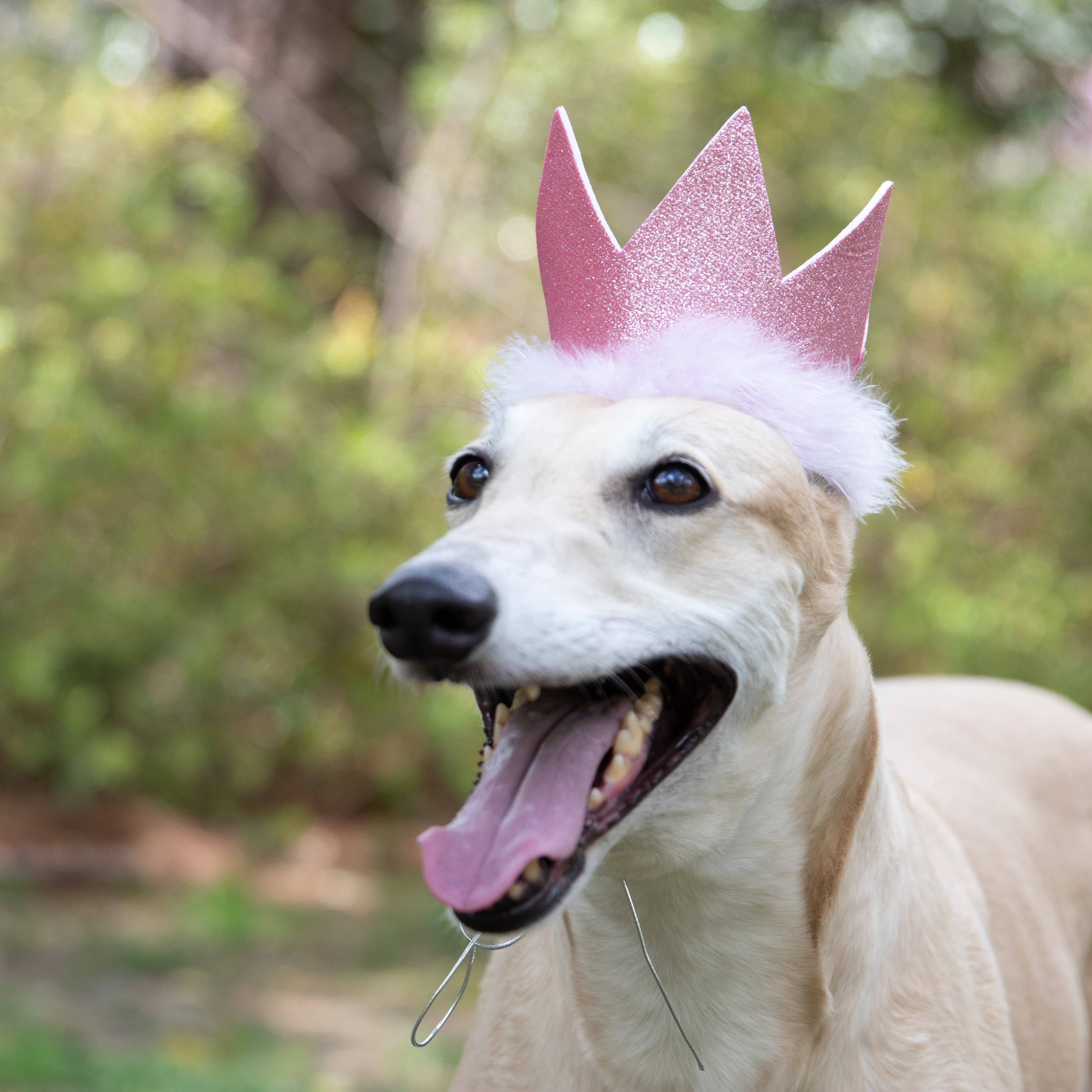 H&K Party Crown - Pink with SnugFit® - Gabrielle's Biloxi