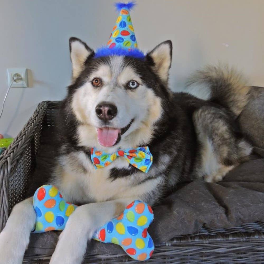H&K Party Hat - Party Time Blue with SnugFit® - Gabrielle's Biloxi
