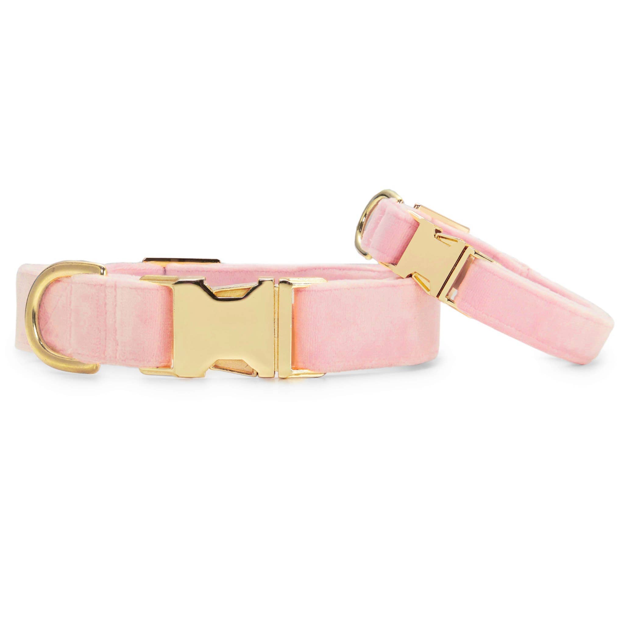 Blush Pink Velvet Dog Collar - Gabrielle's Biloxi