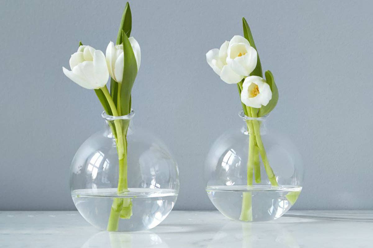 Etu Clear Sphere Bud Vase - Gabrielle's Biloxi
