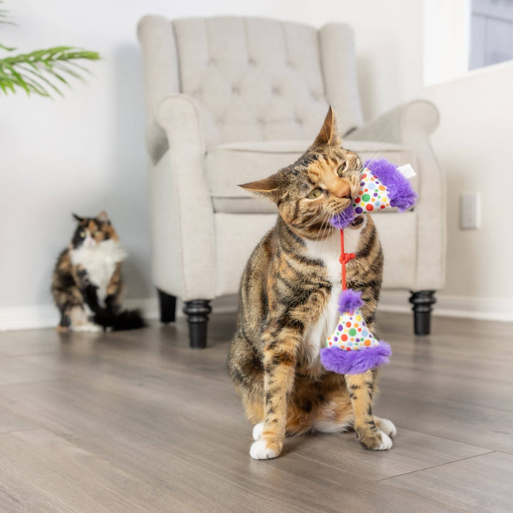 Party Hats for Cats - Gabrielle's Biloxi