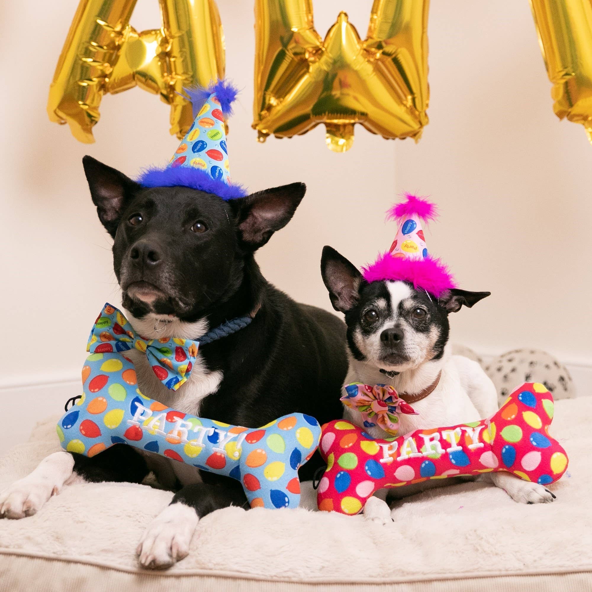 H&K Party Hat - Party Time Blue with SnugFit® - Gabrielle's Biloxi