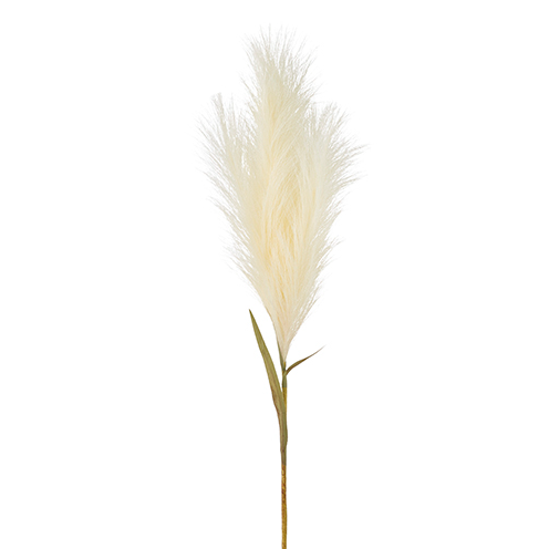 Pampas Grass Plume Stem - Gabrielle's Biloxi