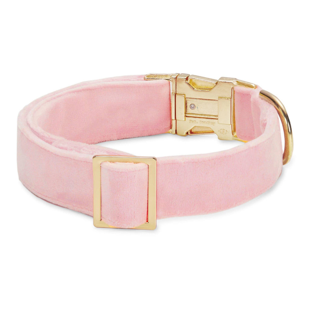 Blush Pink Velvet Dog Collar - Gabrielle's Biloxi