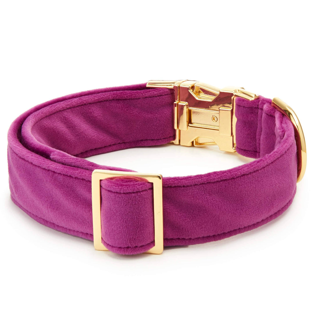 Plum Velvet Dog Collar - Gabrielle's Biloxi
