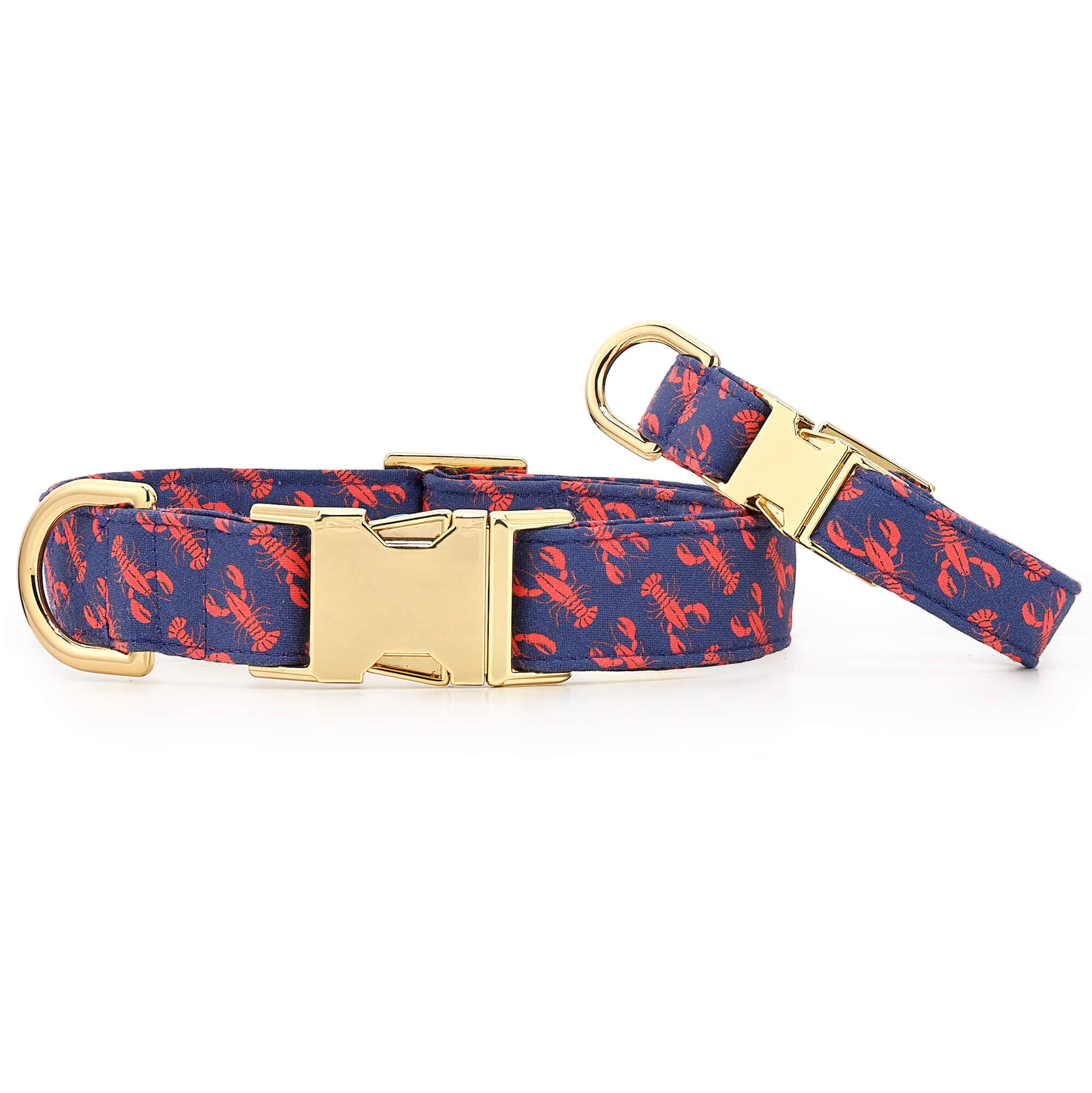 Catch of the Day Navy Dog Collar - Gabrielle's Biloxi