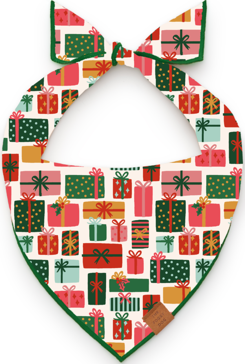 Rifle Paper Co. x TFD Holiday Gifts Dog Bandana - Gabrielle's Biloxi