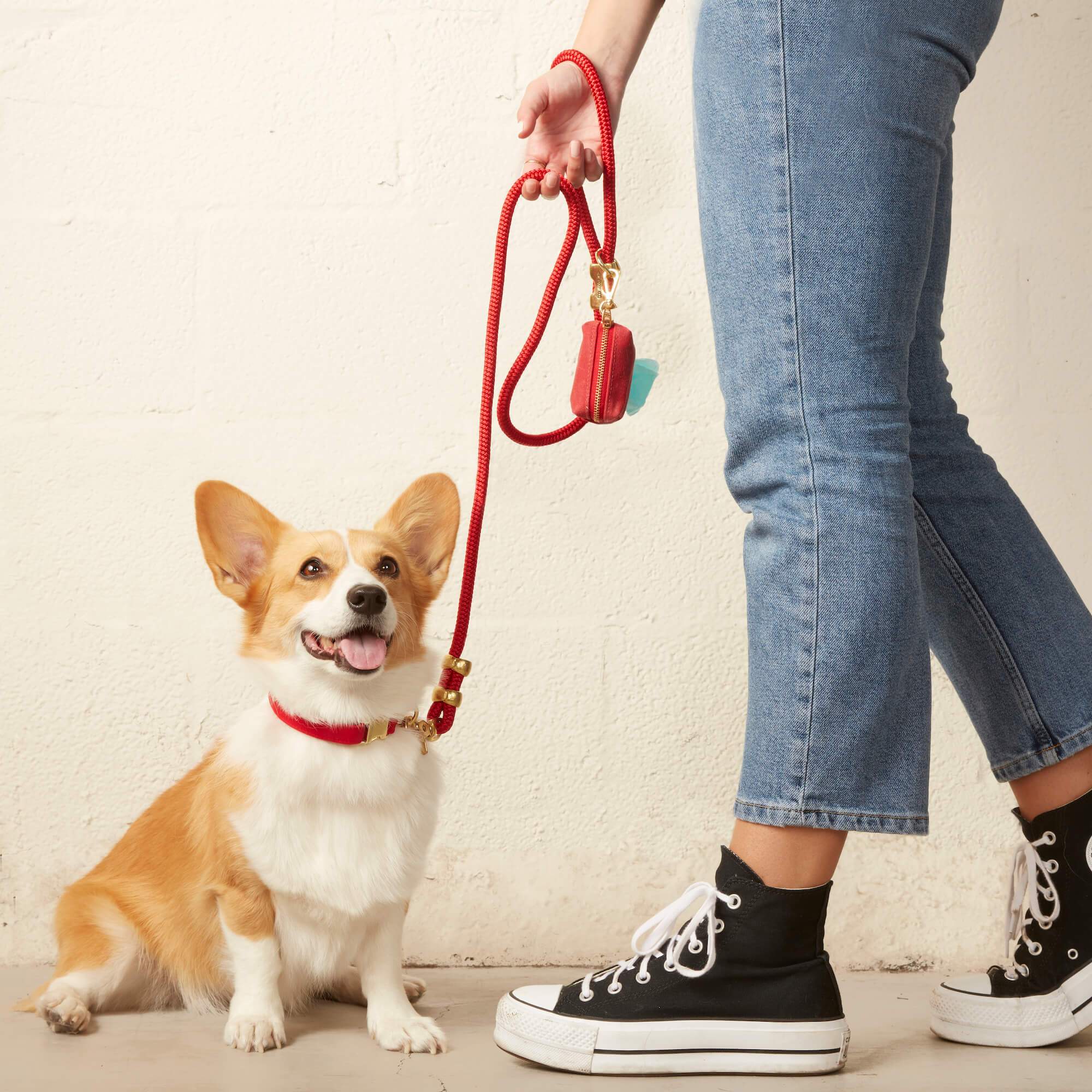 Ruby Dog Collar - Gabrielle's Biloxi