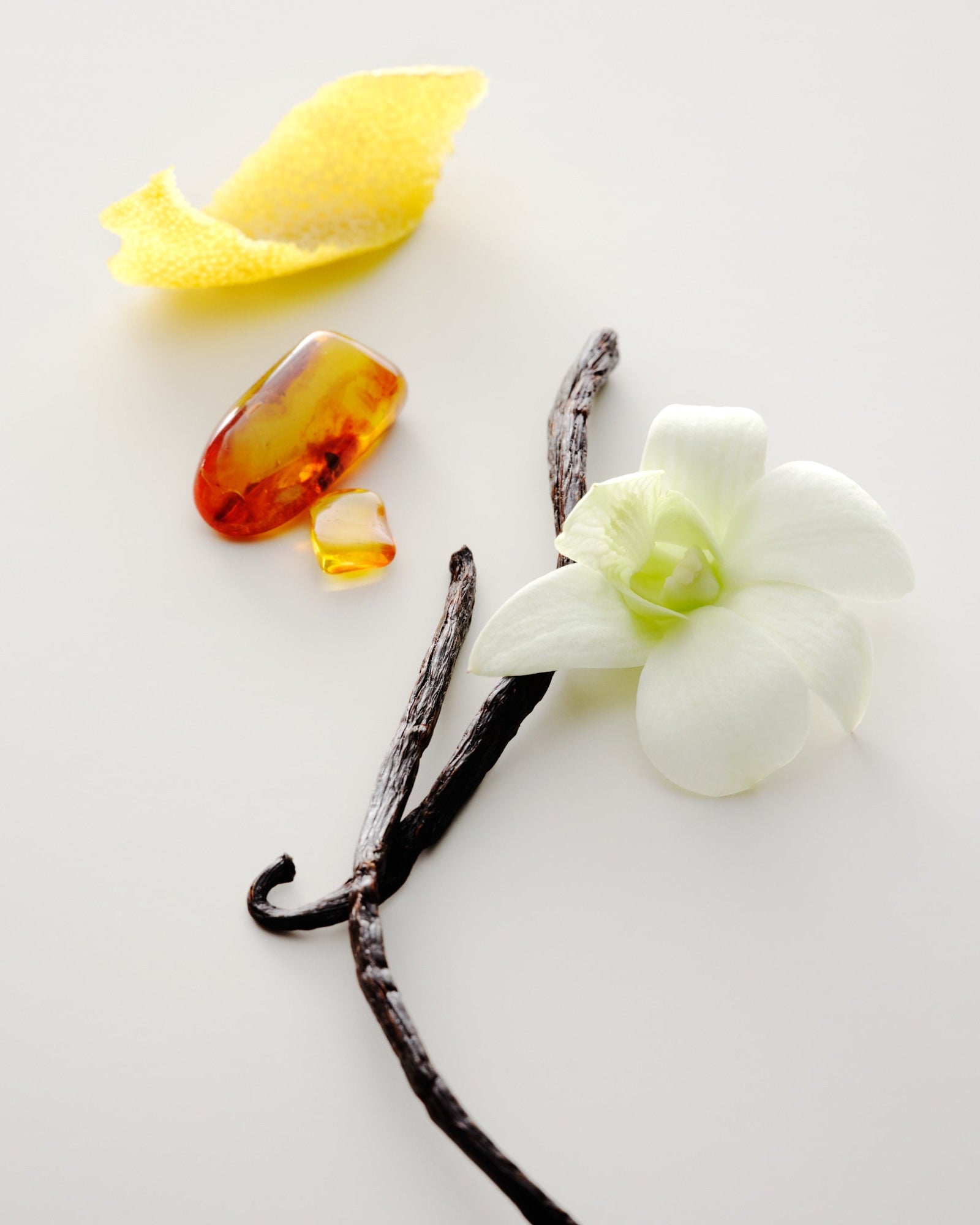 Maison Louis Marie Perfume Oil - No.15 Vanille Infinie