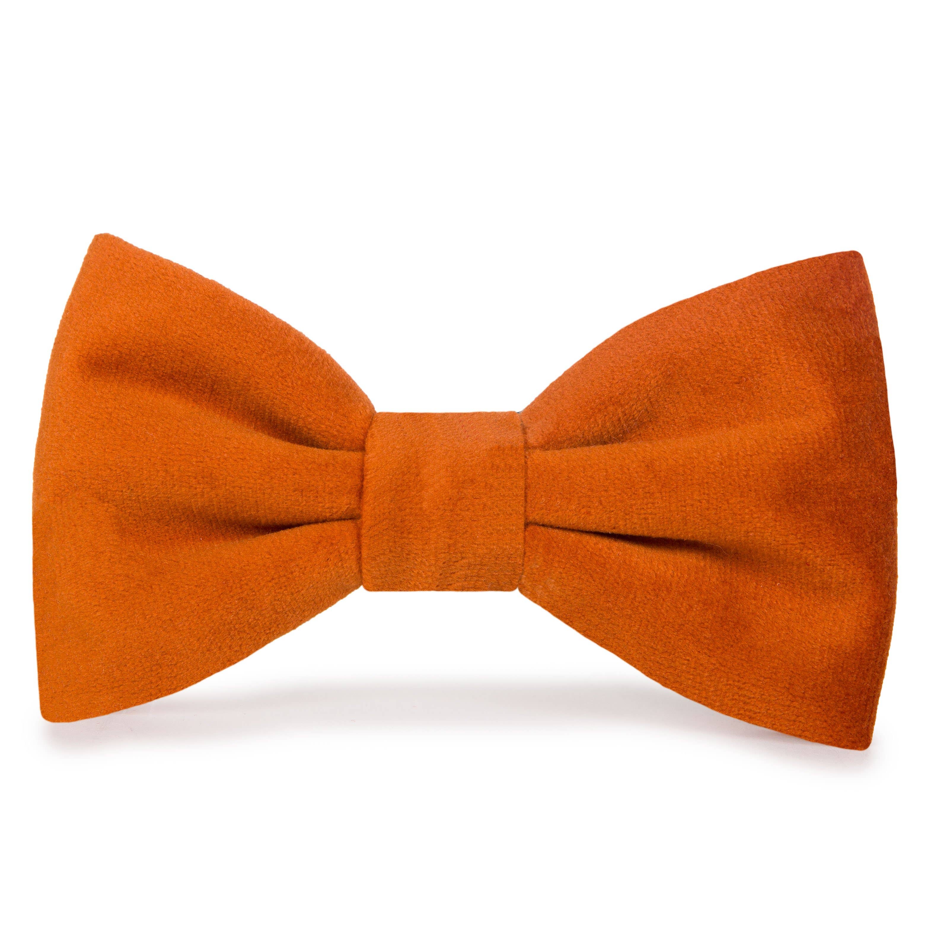 Pumpkin Velvet Dog Bow Tie - Gabrielle's Biloxi