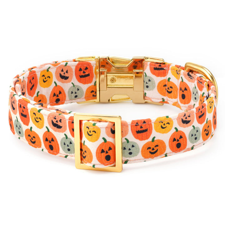 Jack-o'-Lanterns Halloween Dog Collar - Gabrielle's Biloxi