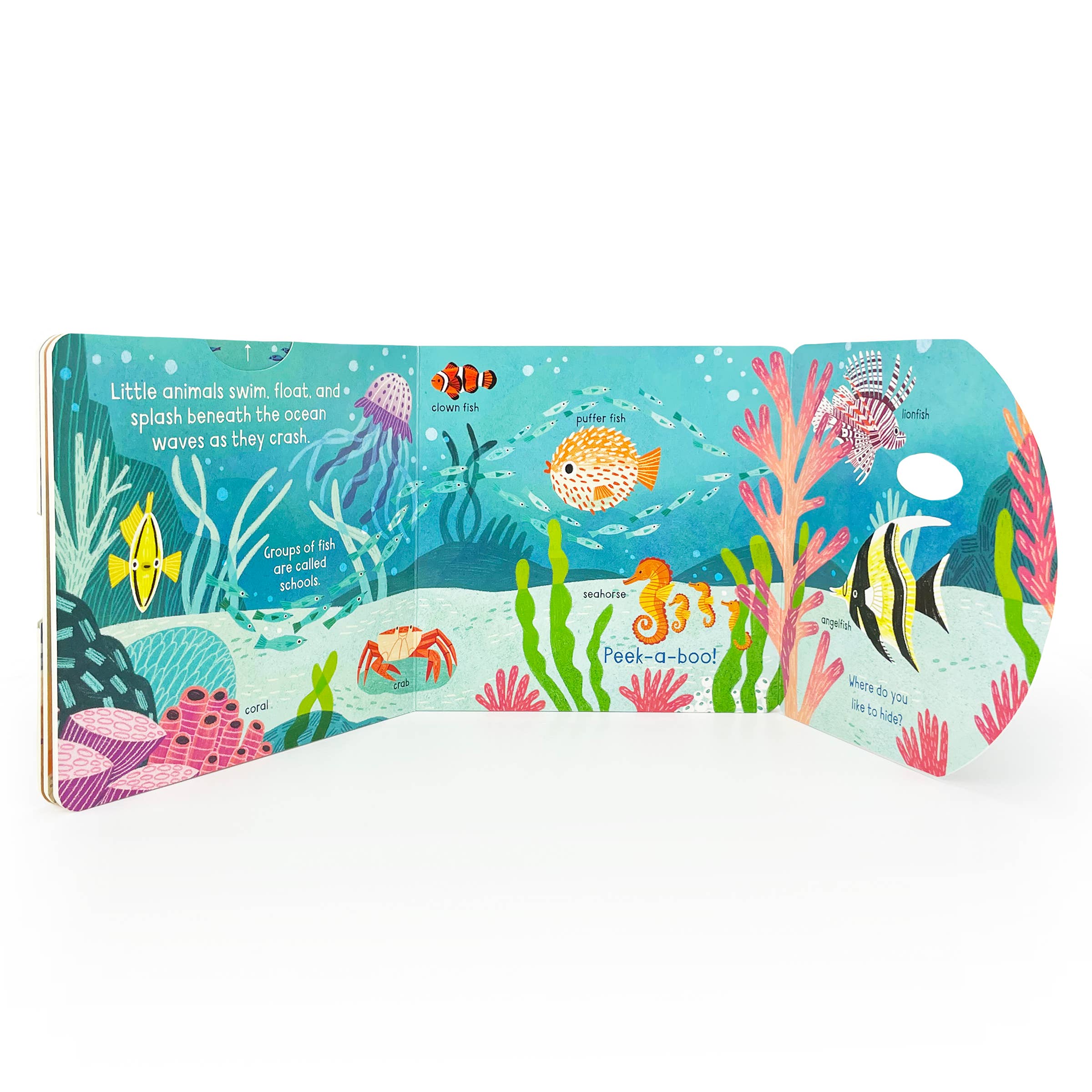 Little Wonders: Ocean Interactive Board Book - Gabrielle's Biloxi