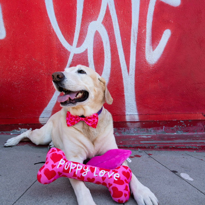 My Puppy Love Bone For Dogs - Gabrielle's Biloxi