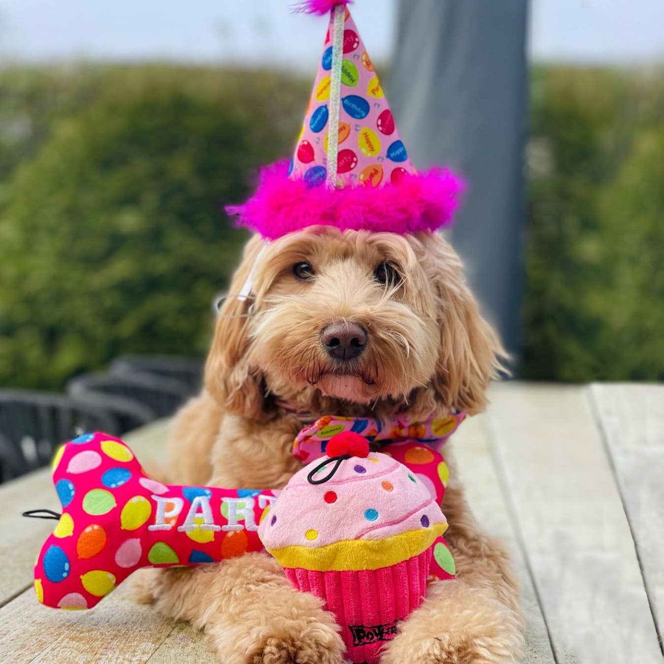 H&K Party Hat - Party Time Pink with SnugFit® - Gabrielle's Biloxi
