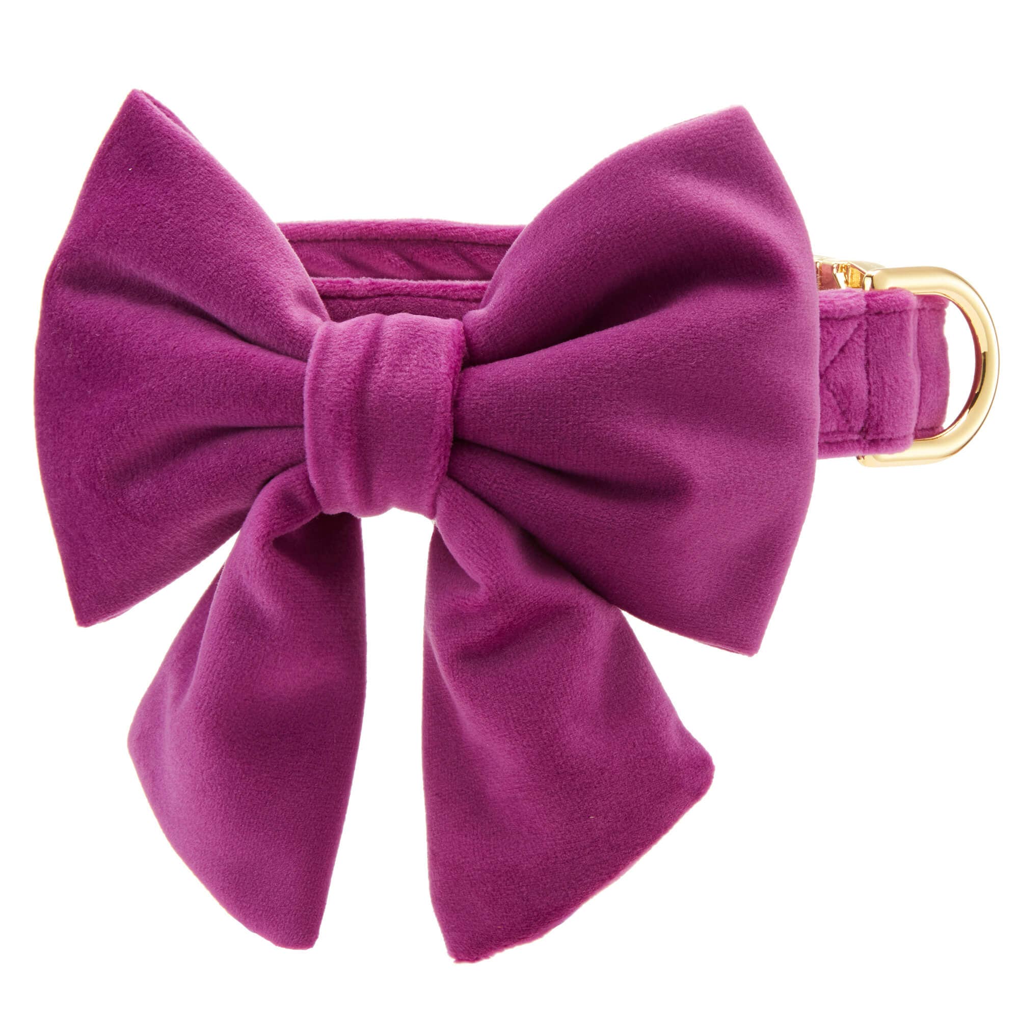 Plum Velvet Lady Dog Bow - Gabrielle's Biloxi
