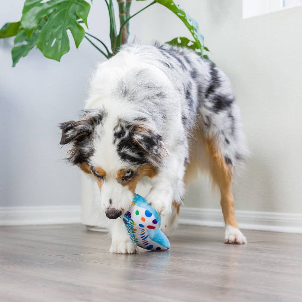 It's My Barkday Bone (Double Sided) For Dogs - Gabrielle's Biloxi