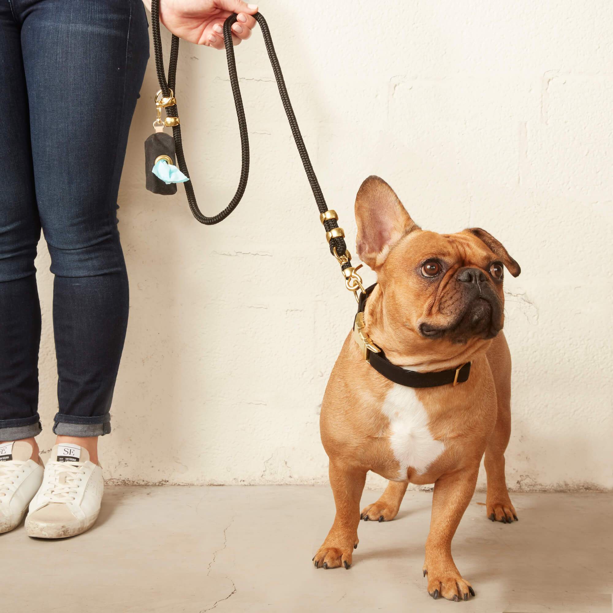 Onyx Marine Rope Dog Leash: Petite 5 feet - Gabrielle's Biloxi