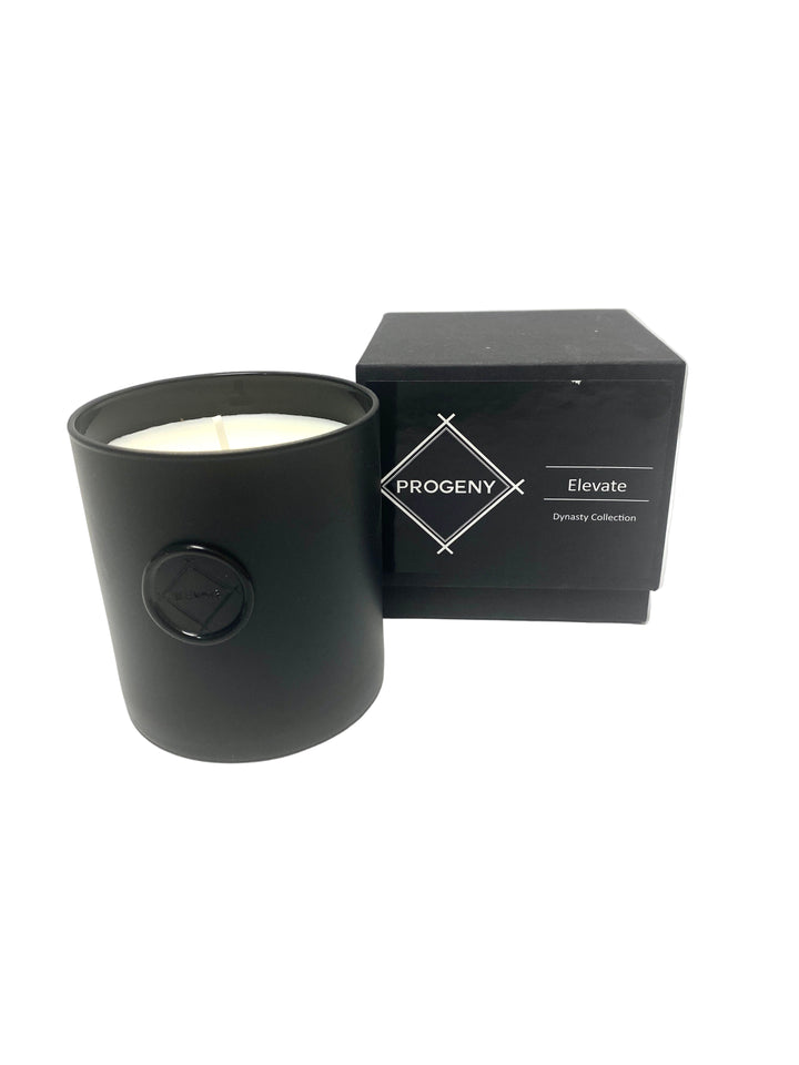 PROGENY Candle - Elevate - Gabrielle's Biloxi