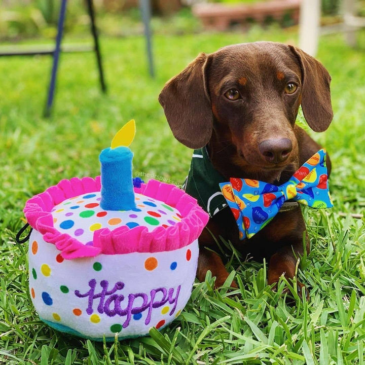 Happy Barkday Cake For Dogs - Gabrielle's Biloxi