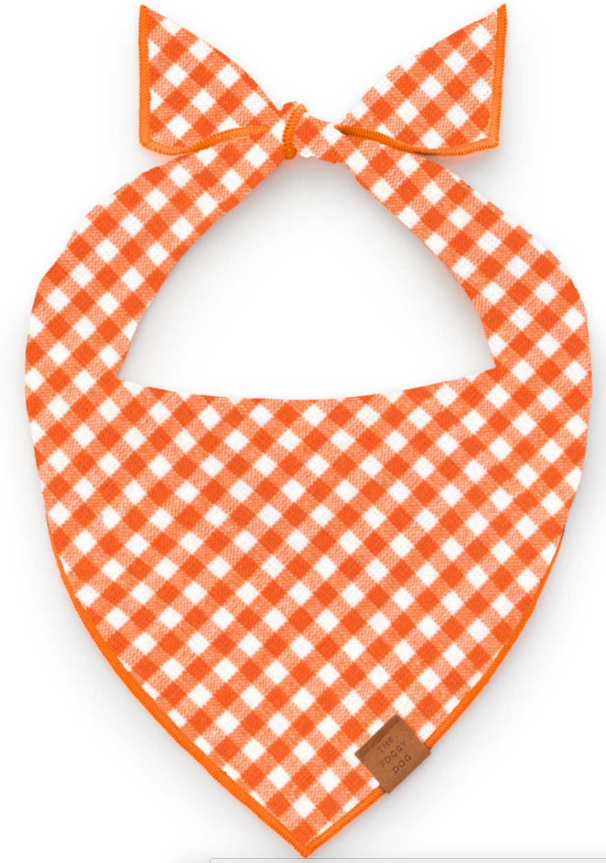 Cider Gingham Dog Bandana - Gabrielle's Biloxi