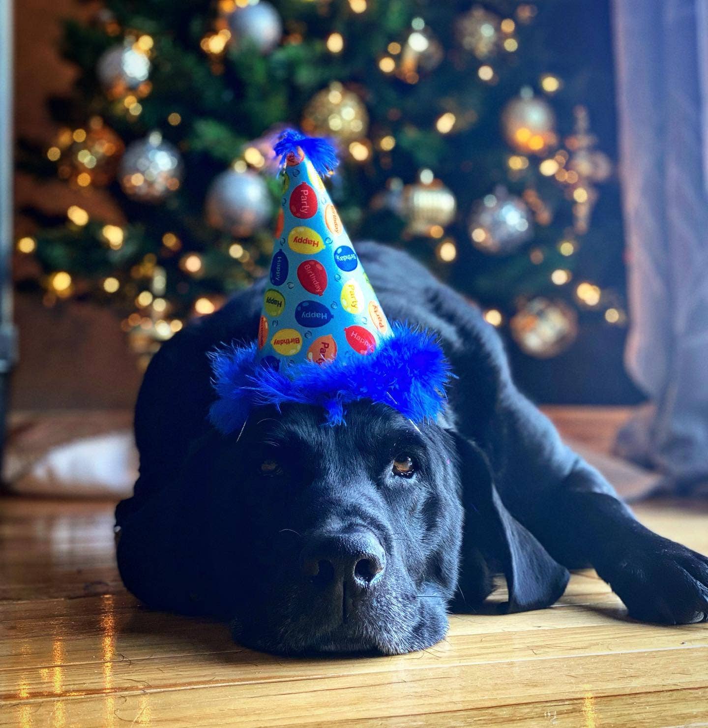 H&K Party Hat - Party Time Blue with SnugFit® - Gabrielle's Biloxi