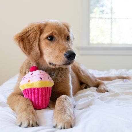 Pupcake Pink For Dogs - Gabrielle's Biloxi