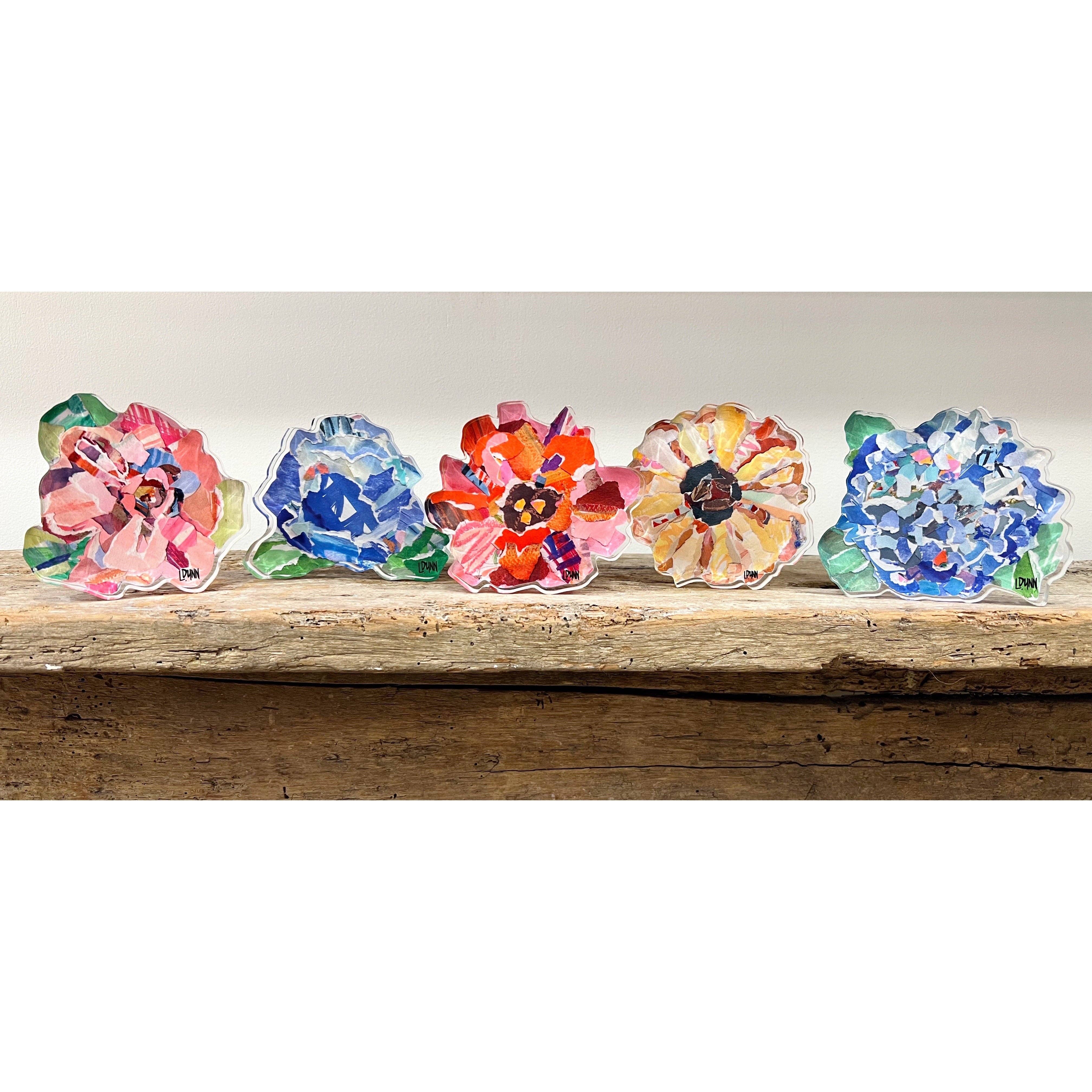 Pink Zinnia Bold Bloom Acrylic - Gabrielle's Biloxi