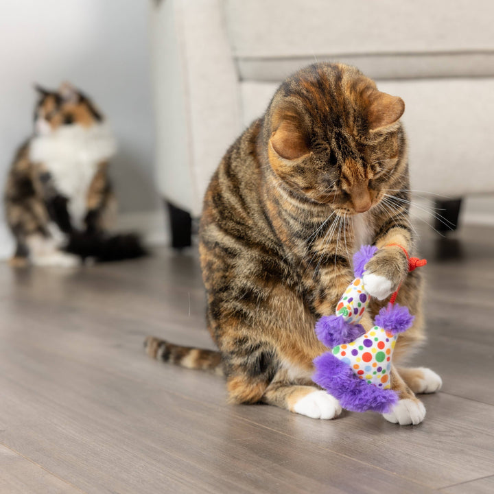 Party Hats for Cats - Gabrielle's Biloxi