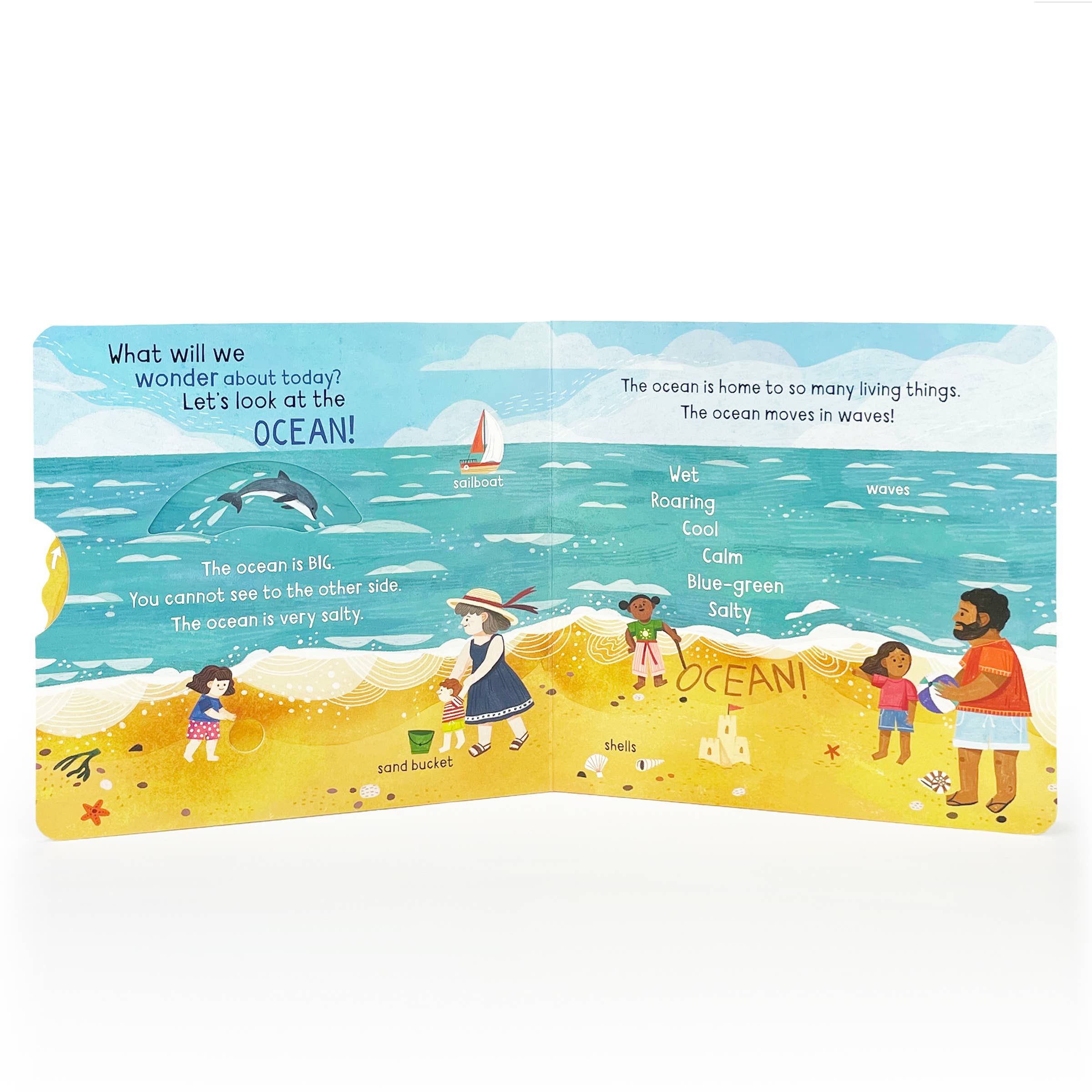 Little Wonders: Ocean Interactive Board Book - Gabrielle's Biloxi