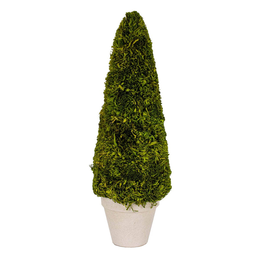 Boxwood Green Tree - 4x15.75x4 - Gabrielle's Biloxi