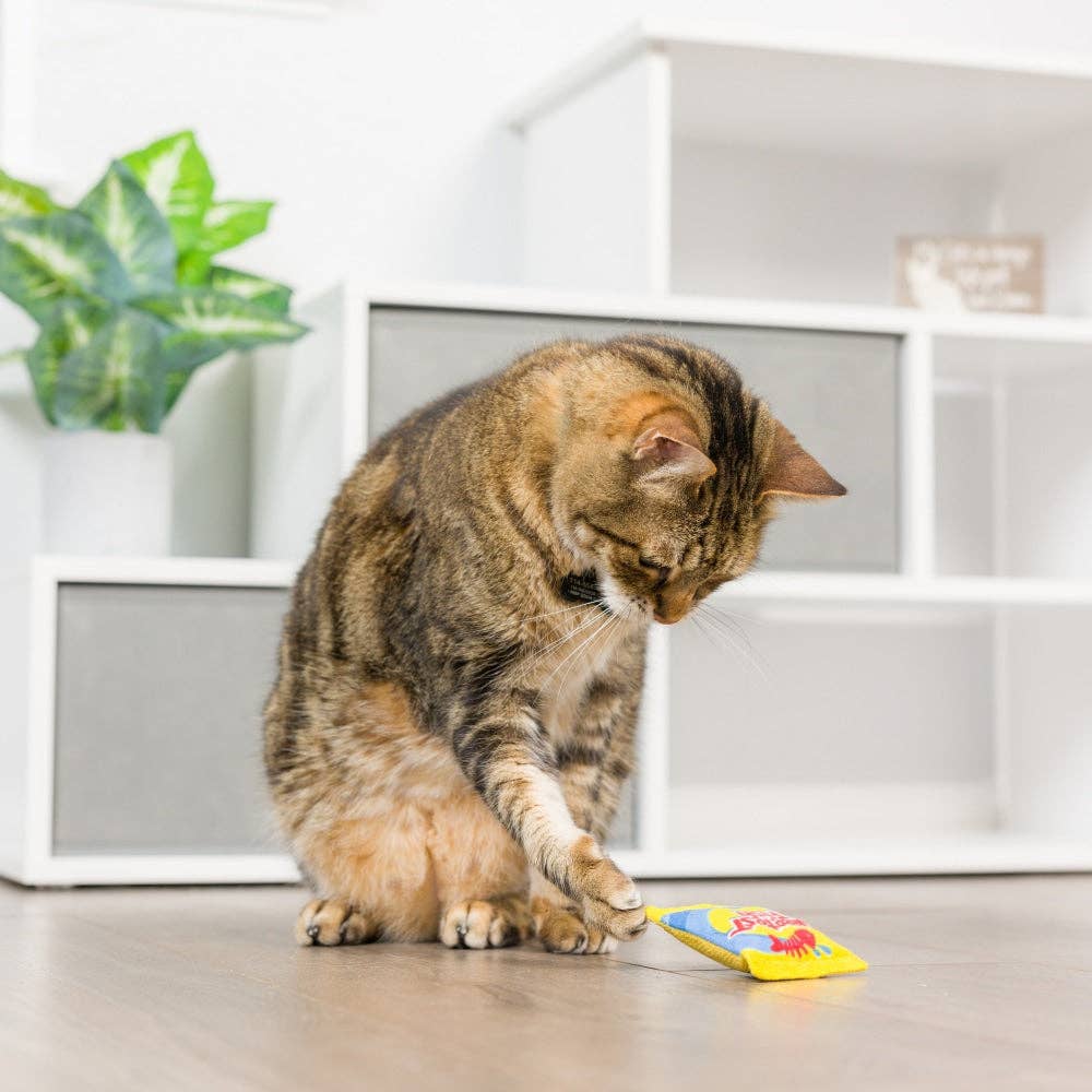 Sweetest Fish For Cats - Gabrielle's Biloxi