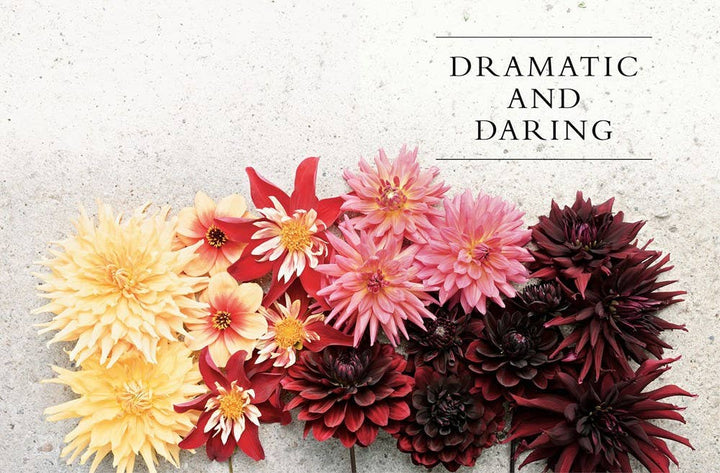 Dahlias; Beautiful Varieties for Home & Garden (hardcover) - Gabrielle's Biloxi
