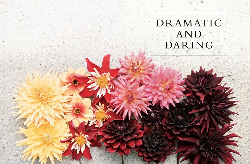Dahlias; Beautiful Varieties for Home & Garden (hardcover) - Gabrielle's Biloxi