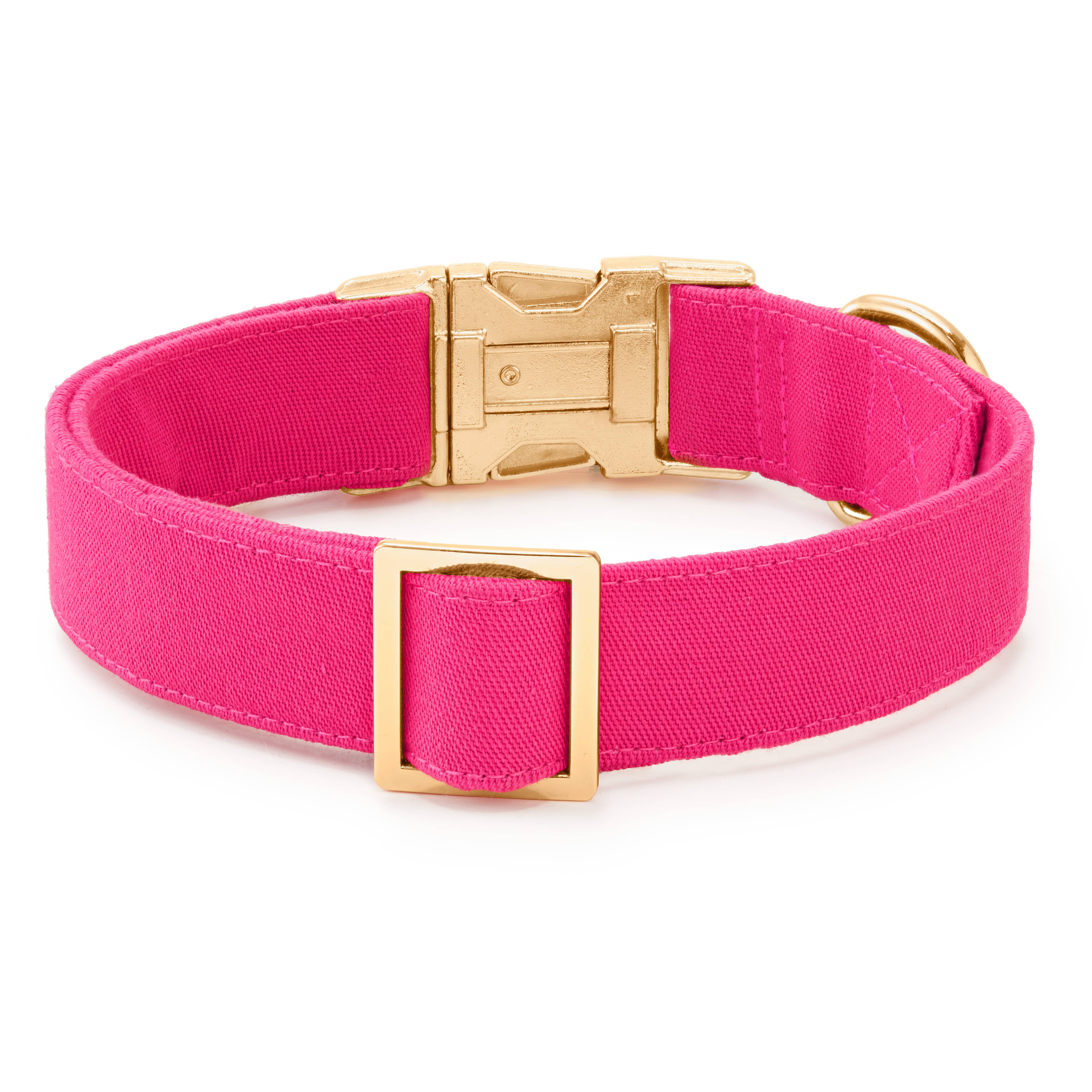 Hot Pink Dog Collar - Gabrielle's Biloxi